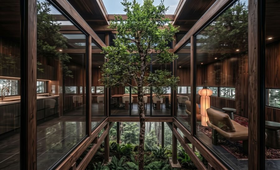 Patio interior acristalado con un árbol